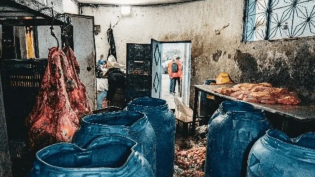 Descubren 35 toneladas de carne descompuesta en Bogotá que iban para consumo humano