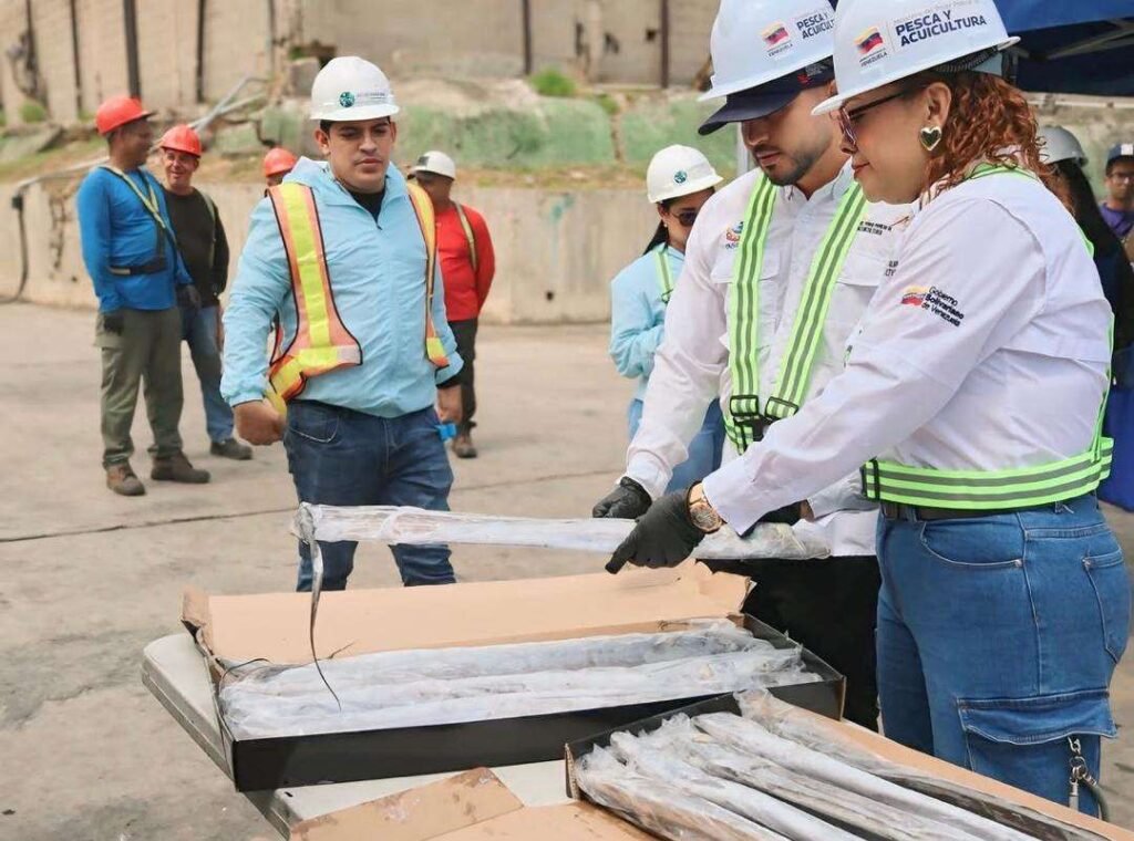 Tajalí venezolano llega a Corea del Sur