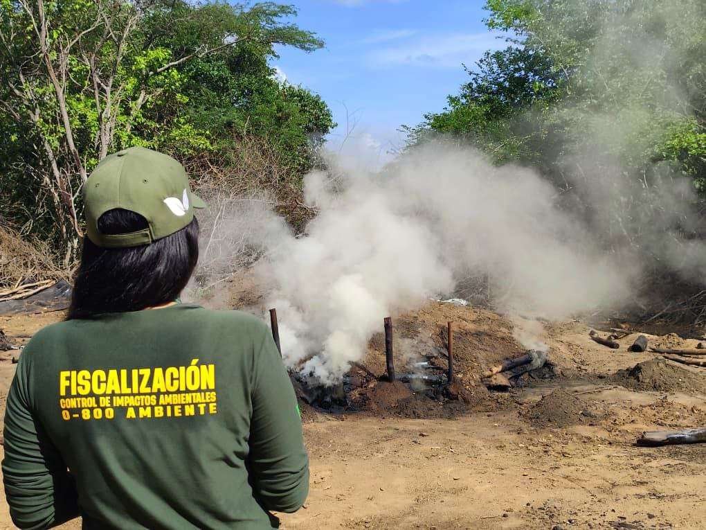 Desmantelaron fábrica ilegal de carbón en Clarines