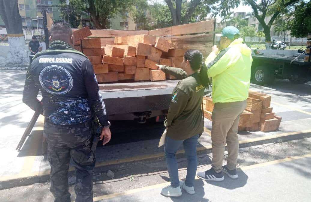 Incautan madera de procedencia ilegal y detienen a 7 personas en Mérida