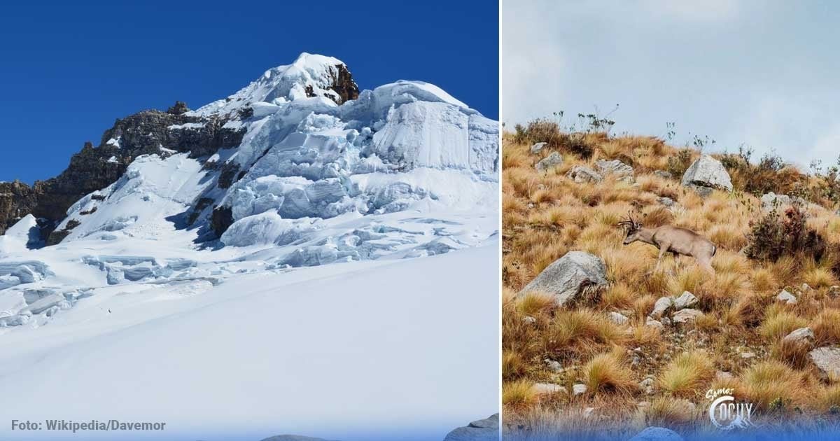 Los tres nevados más bellos de Colombia que puede visitar en cualquier fecha del año