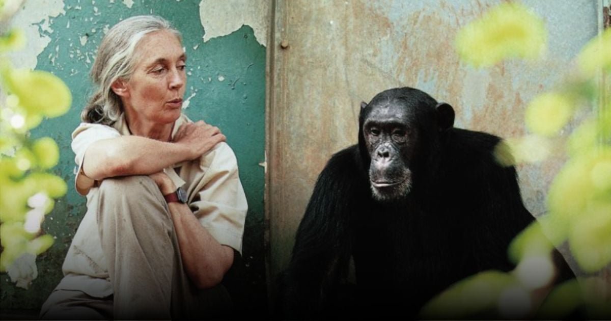 Se apagó el corazón de