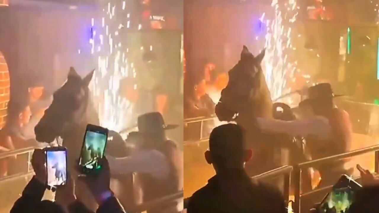 Investigan al bar que metió a caballo a show de pólvora en Bogotá