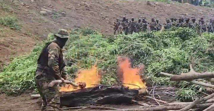 10 campamentos desmantelados tras activación de Zona Binacional de Paz