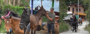noticias actuales en Colombia, Noticias en venezuela